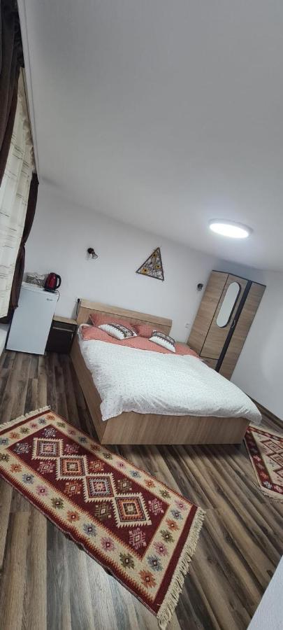 Villa Baltina Parc Transfagarasan Curtea de Argeş Exterior foto